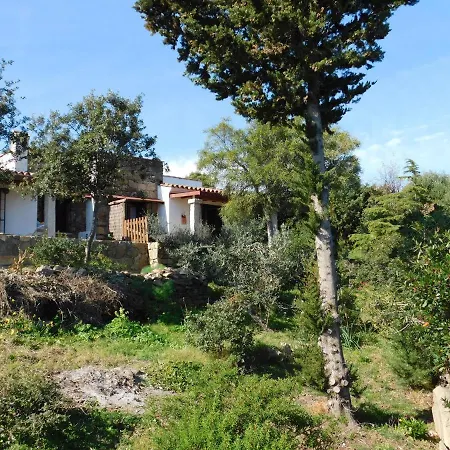 Le Mimose San Teodoro (Sardinia)