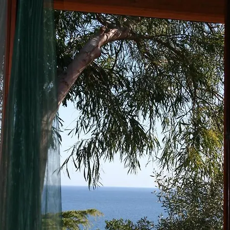 Casa vacanze Le Mimose