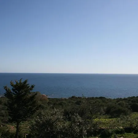 Le Mimose San Teodoro (Sardinia)