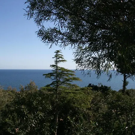 Casa vacanze Le Mimose *