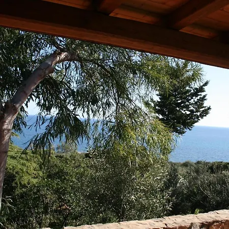 Le Mimose